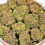 Blueberry Muffin (Mid-Premium)