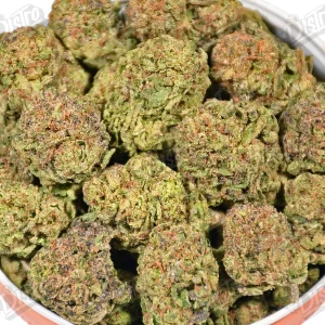 Blueberry Muffin (Mid-Premium) 2