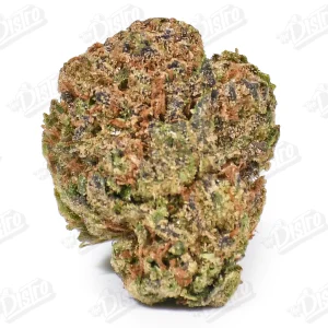 Mango Haze (Mid-Premium)