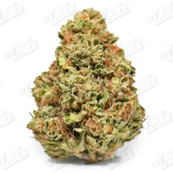Cherry Limeade (Value)