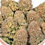 Purple Platinum (Mid-Premium)