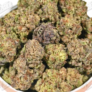 Ice Cream Cake (Mid-Premium) 2