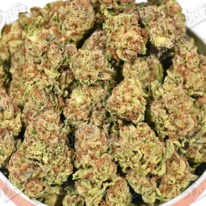 Motor Breath (Mid-Premium) 2