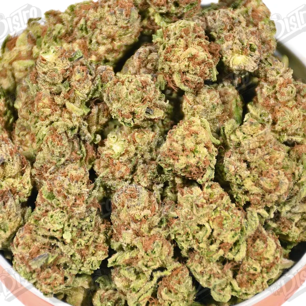 Motor Breath (Mid-Premium)
