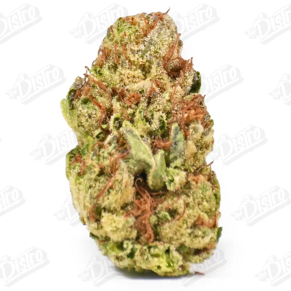 Motor Breath (Mid-Premium)