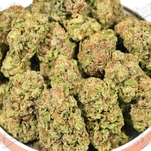 Mojito (Mid-Premium) 2