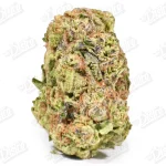Mojito (Mid-Premium)