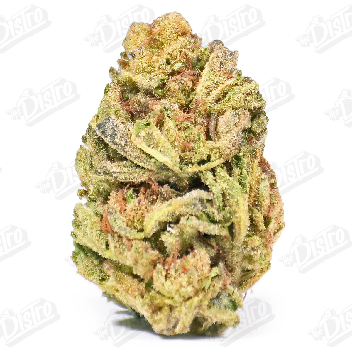 Kush Mintz (Mid-Premium)