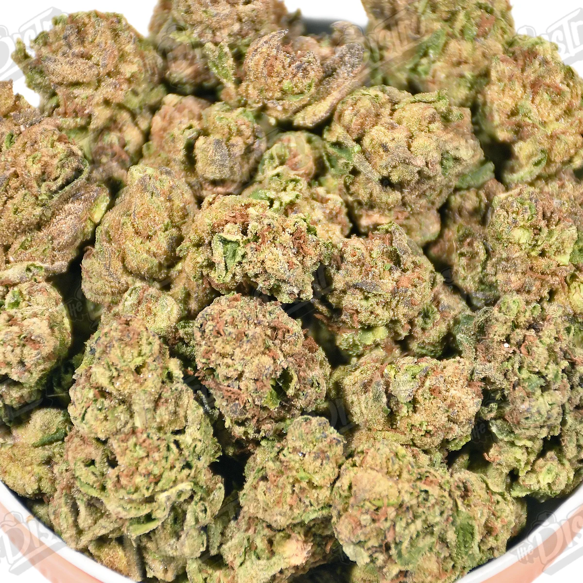 Mojito (Mid-Premium) 2