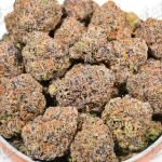 Donny Burger (Top-Shelf)