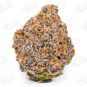 Donny Burger (Top-Shelf)