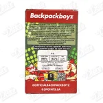 Backpack Boyz All-In-One Vape (2g)