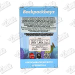 Backpack Boyz All-In-One Vape (2g)