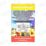 Backpack Boyz All-In-One Vape (2g)