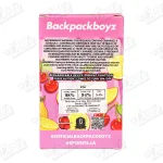 Backpack Boyz All-In-One Vape (2g)