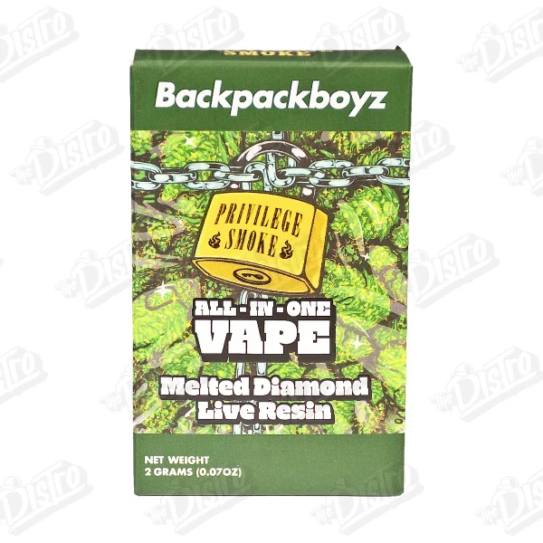 Backpack Boyz All-In-One Vape (2g)