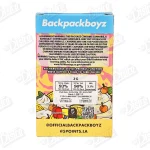 Backpack Boyz All-In-One Vape (2g)