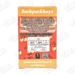 Backpack Boyz All-In-One Vape (2g)