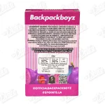 Backpack Boyz All-In-One Vape (2g)