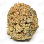 Tutti Fruitti (Value)
