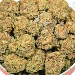 Zoap Tart (Value) 2