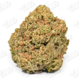 Zoap Tart (Value)