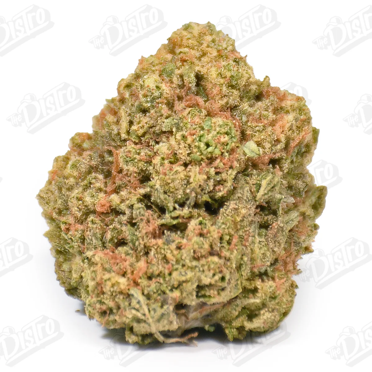 Zoap Tart (Value)