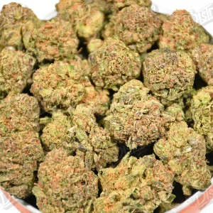 Berry Disco (Value) 2