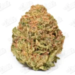 Berry Disco (Value)