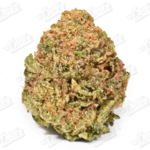 Berry Disco (Value)
