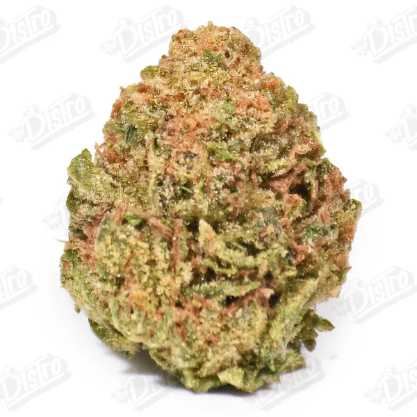 Berry Disco (Value)