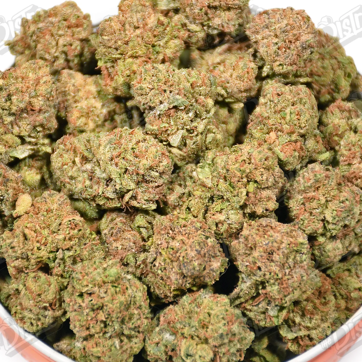 Forbidden Trufflez (Value) 2