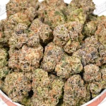 Ghost Train (Zaza Exotic)