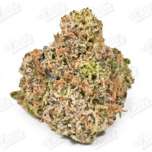 Ghost Train (Zaza Exotic)