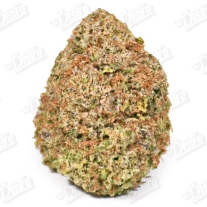 Pineapple Tart (Mid-Premium)