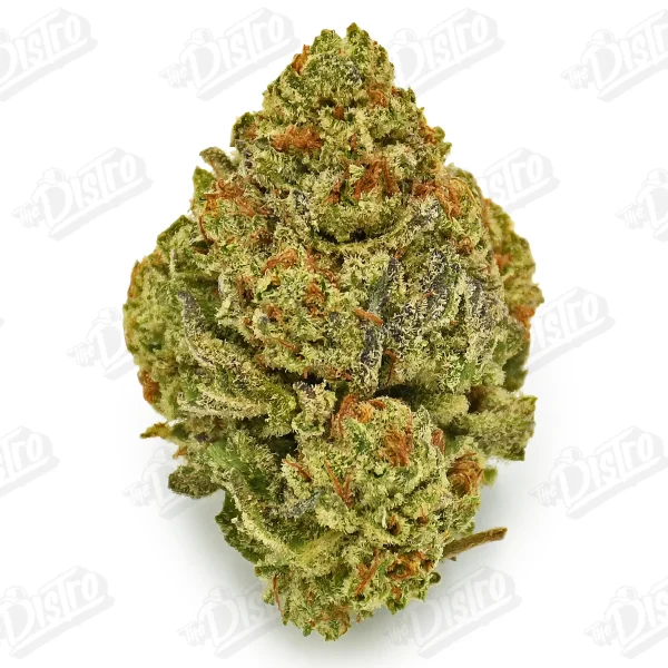 Gelato King (Mid-Premium)