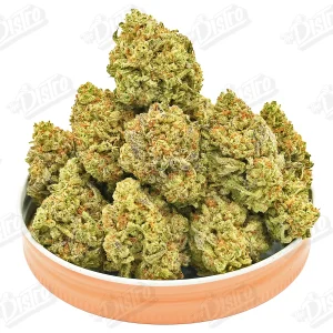 Gelato King (Mid-Premium) 2