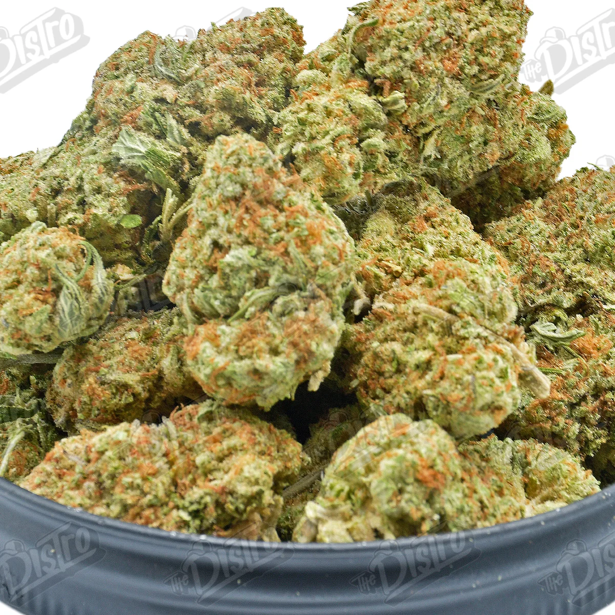 Candy Breath (Value) 2
