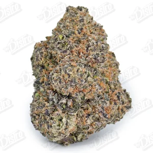 Toad Venom (Top-Shelf)