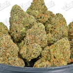 Nightshade (Mid-Premium)