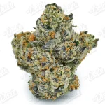 White Cherry Gelato (Top-Shelf)