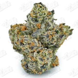 White Cherry Gelato (Top-Shelf)