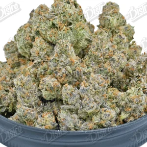 White Cherry Gelato (Top-Shelf) 2