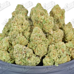 Blueberry Blast (Value) 2