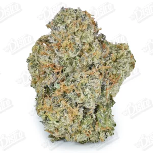Snow White Runtz (Zaza Exotic)