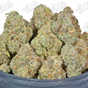 Snow White Runtz (Zaza Exotic) 2