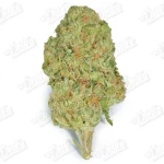 Candy Punch (Value)