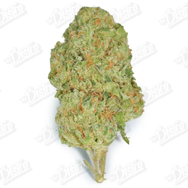 Candy Punch (Value)