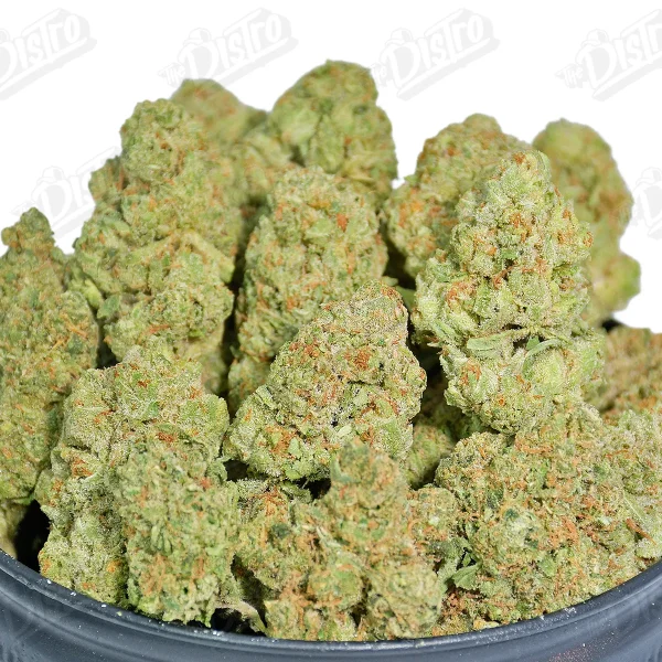 Candy Punch (Value)