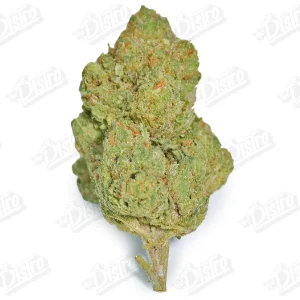 Strawberry Gelato (Value)